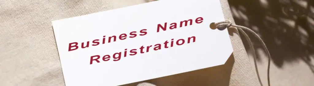 Domain Name Registration