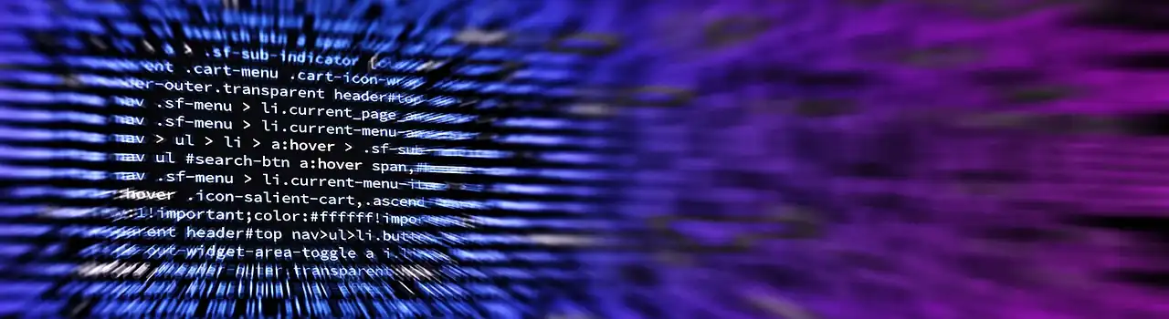 Dynamic Websites