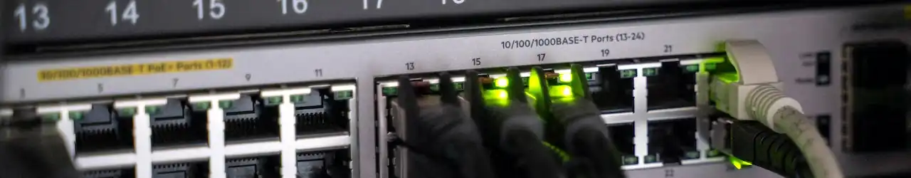 Website Hosting