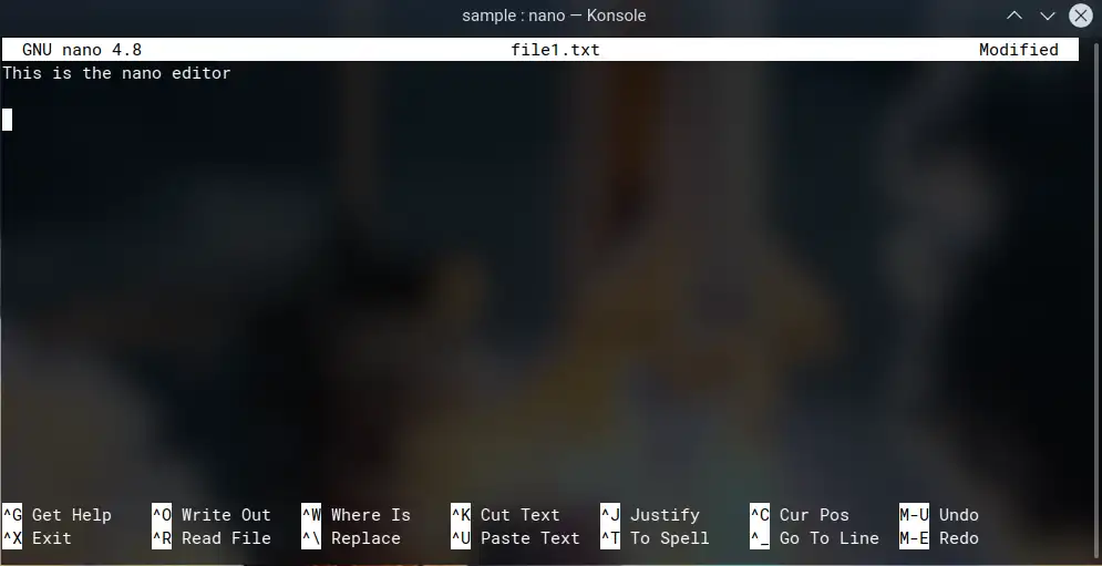 Nano Editor