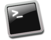 Terminal Icon